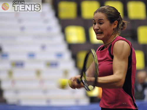 Niculescu iese in semifinale